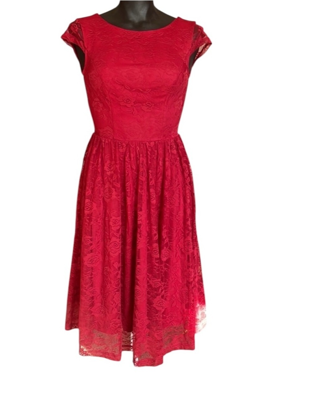 Berry Love Super Red Fit/Flare Rose patterned lace dress-Size 3X